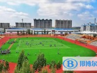 大名县第二中学招生简章2024年